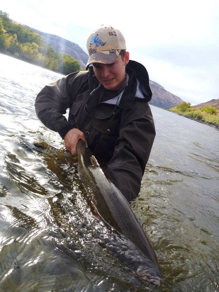 Andrew Schweitzer Steelhead