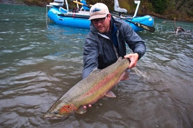 Gray Struznik Steelhead