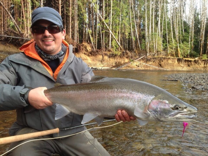 Stevie Morrow Steelhead