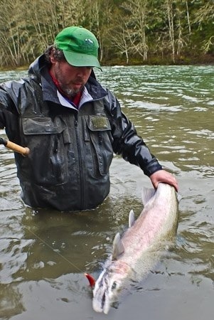 Marty Sheppard Steelhead